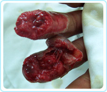 兴发娱乐·xf187(中国集团)官方网站