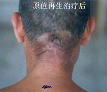 兴发娱乐·xf187(中国集团)官方网站