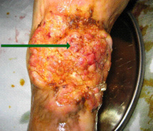 兴发娱乐·xf187(中国集团)官方网站
