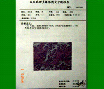 兴发娱乐·xf187(中国集团)官方网站