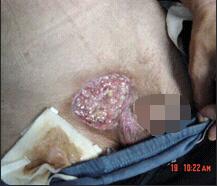 兴发娱乐·xf187(中国集团)官方网站