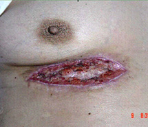 兴发娱乐·xf187(中国集团)官方网站