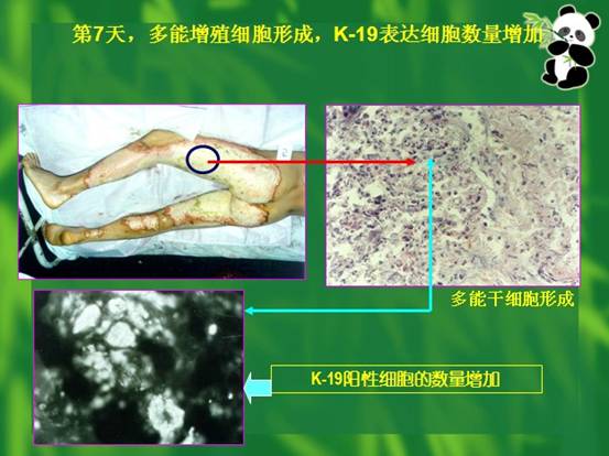 兴发娱乐·xf187(中国集团)官方网站