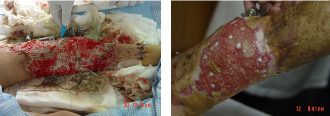 兴发娱乐·xf187(中国集团)官方网站