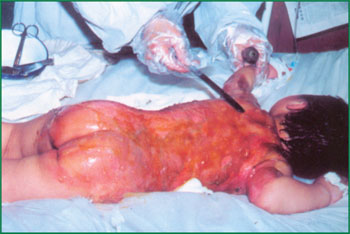 兴发娱乐·xf187(中国集团)官方网站