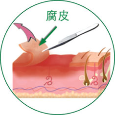 兴发娱乐·xf187(中国集团)官方网站