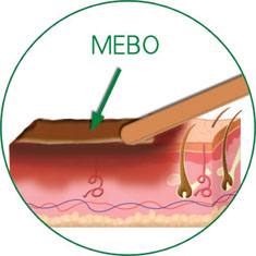 兴发娱乐·xf187(中国集团)官方网站