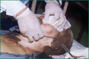 兴发娱乐·xf187(中国集团)官方网站