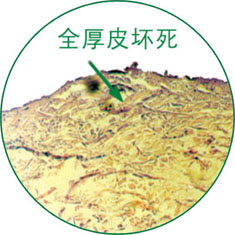 兴发娱乐·xf187(中国集团)官方网站