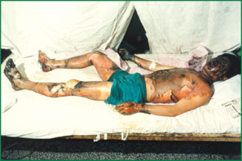 兴发娱乐·xf187(中国集团)官方网站