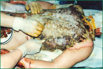 兴发娱乐·xf187(中国集团)官方网站