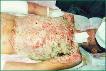 兴发娱乐·xf187(中国集团)官方网站