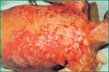 兴发娱乐·xf187(中国集团)官方网站