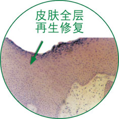 兴发娱乐·xf187(中国集团)官方网站