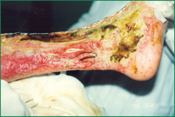 兴发娱乐·xf187(中国集团)官方网站