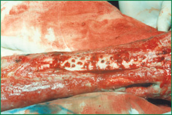 兴发娱乐·xf187(中国集团)官方网站