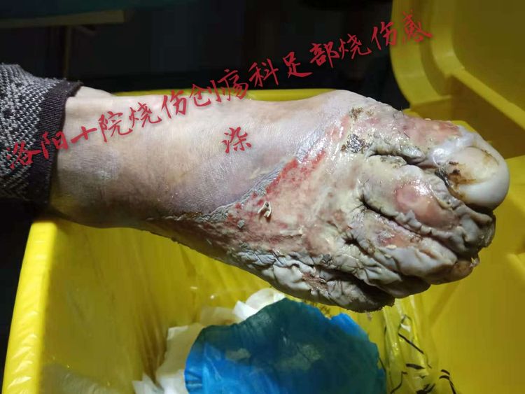 兴发娱乐·xf187(中国集团)官方网站