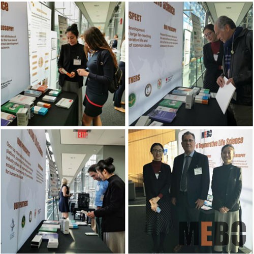 兴发娱乐·xf187(中国集团)官方网站