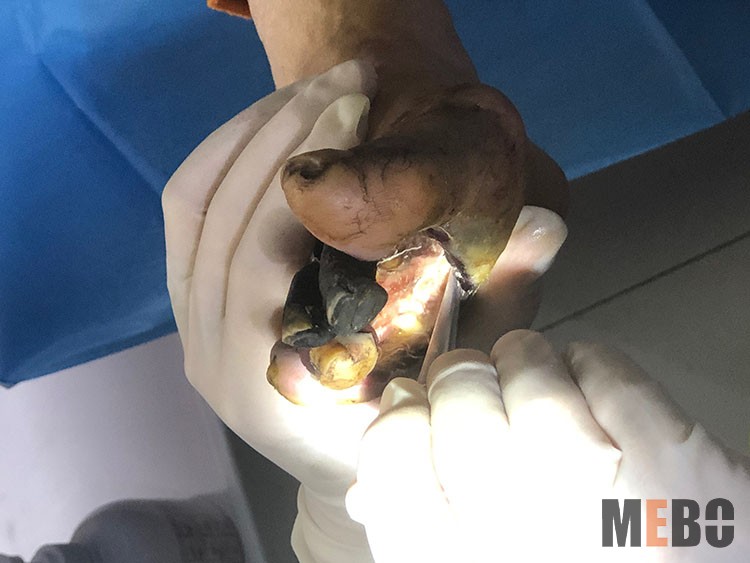 兴发娱乐·xf187(中国集团)官方网站