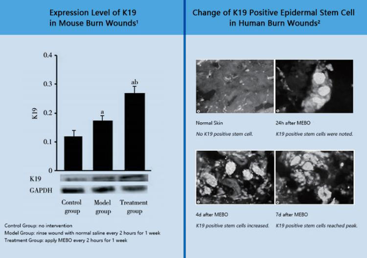 兴发娱乐·xf187(中国集团)官方网站