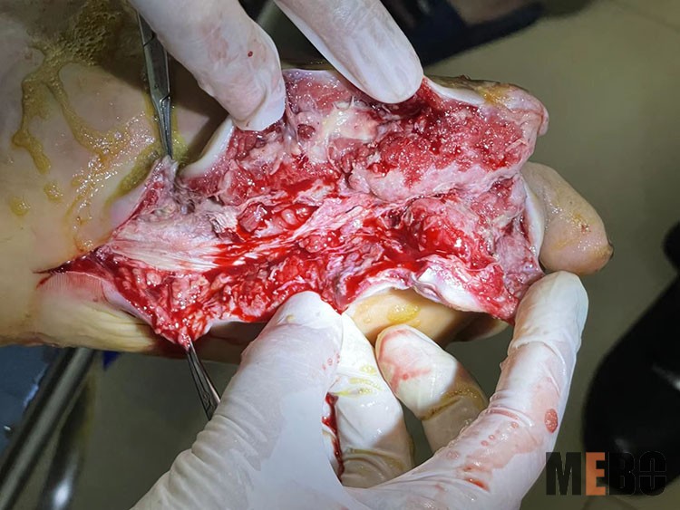 兴发娱乐·xf187(中国集团)官方网站