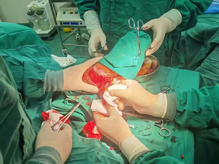 兴发娱乐·xf187(中国集团)官方网站