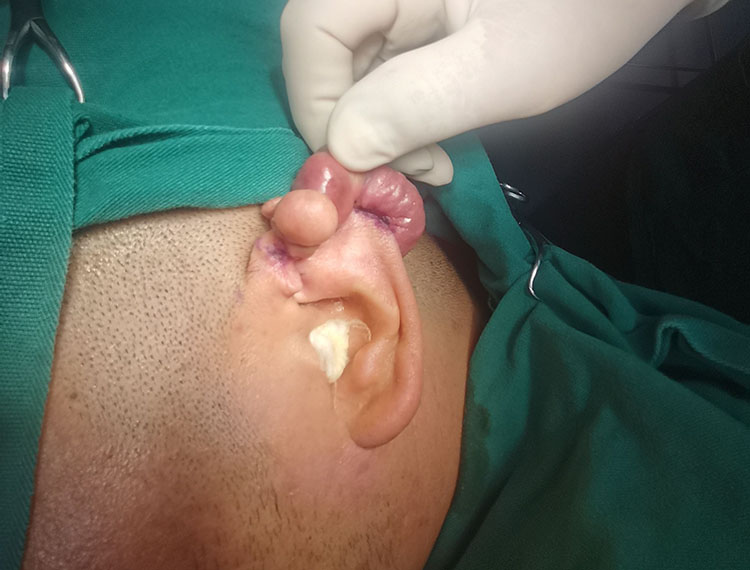 兴发娱乐·xf187(中国集团)官方网站