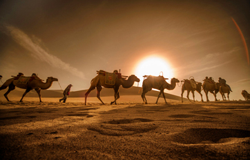 兴发娱乐xf187国际 “一带一起”建议培训平台