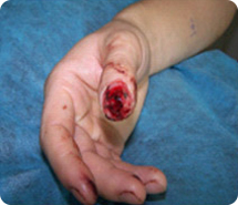 兴发娱乐·xf187(中国集团)官方网站