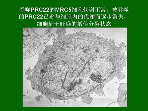兴发娱乐·xf187(中国集团)官方网站