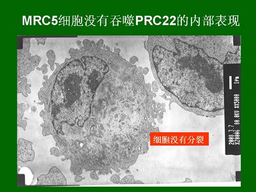 兴发娱乐·xf187(中国集团)官方网站