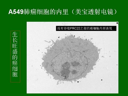 兴发娱乐·xf187(中国集团)官方网站