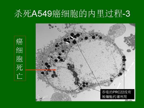 兴发娱乐·xf187(中国集团)官方网站