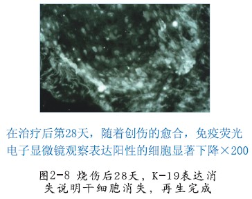 兴发娱乐·xf187(中国集团)官方网站