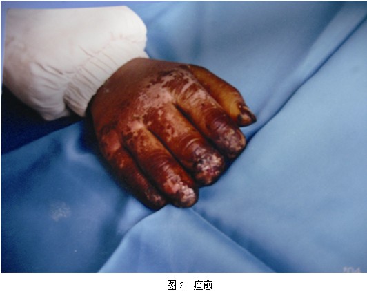 兴发娱乐·xf187(中国集团)官方网站