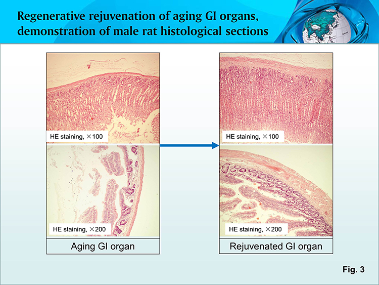 兴发娱乐·xf187(中国集团)官方网站