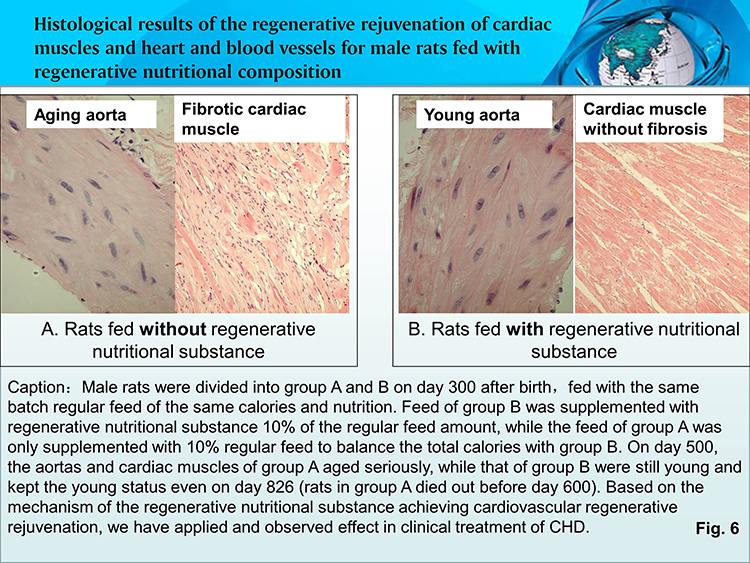 兴发娱乐·xf187(中国集团)官方网站