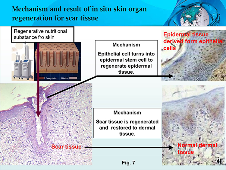 兴发娱乐·xf187(中国集团)官方网站