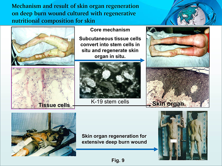 兴发娱乐·xf187(中国集团)官方网站