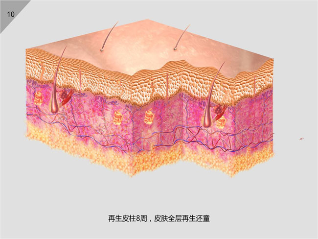 兴发娱乐·xf187(中国集团)官方网站